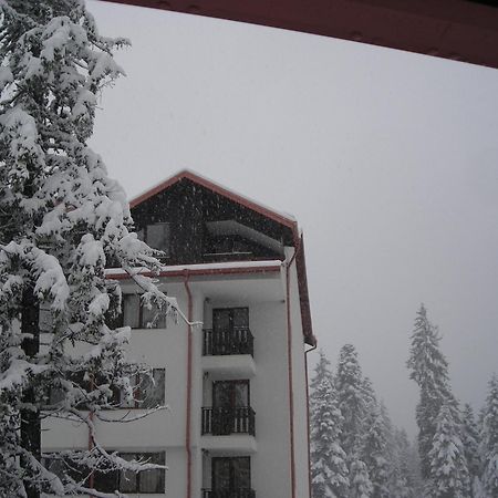 Borovets Gardens Chalet Flat Luaran gambar