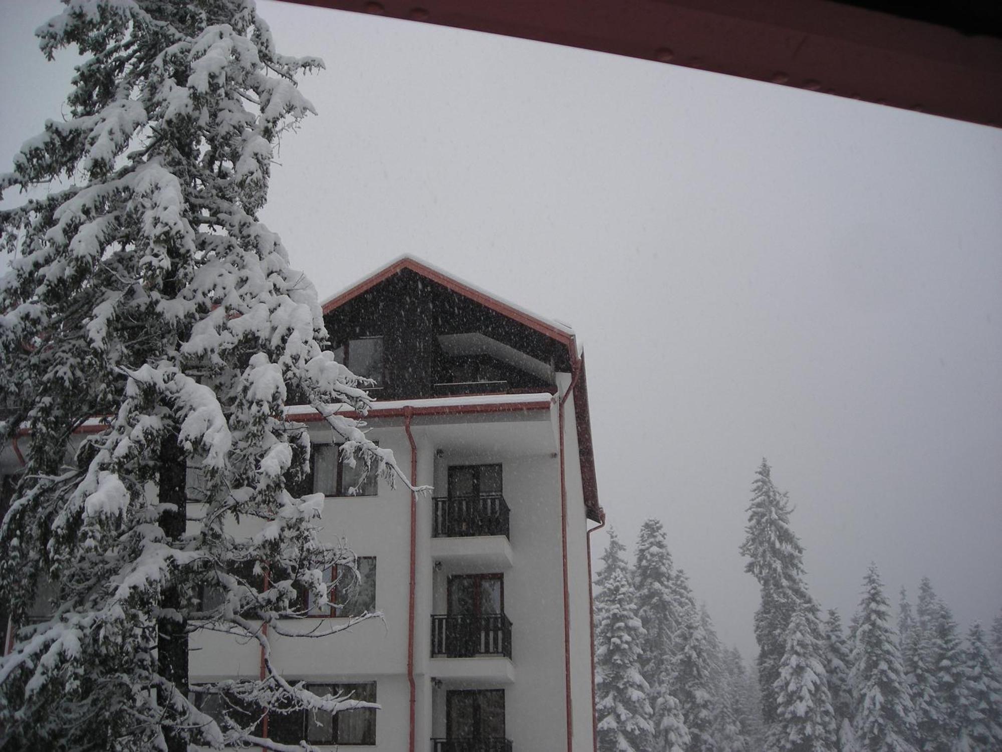 Borovets Gardens Chalet Flat Luaran gambar